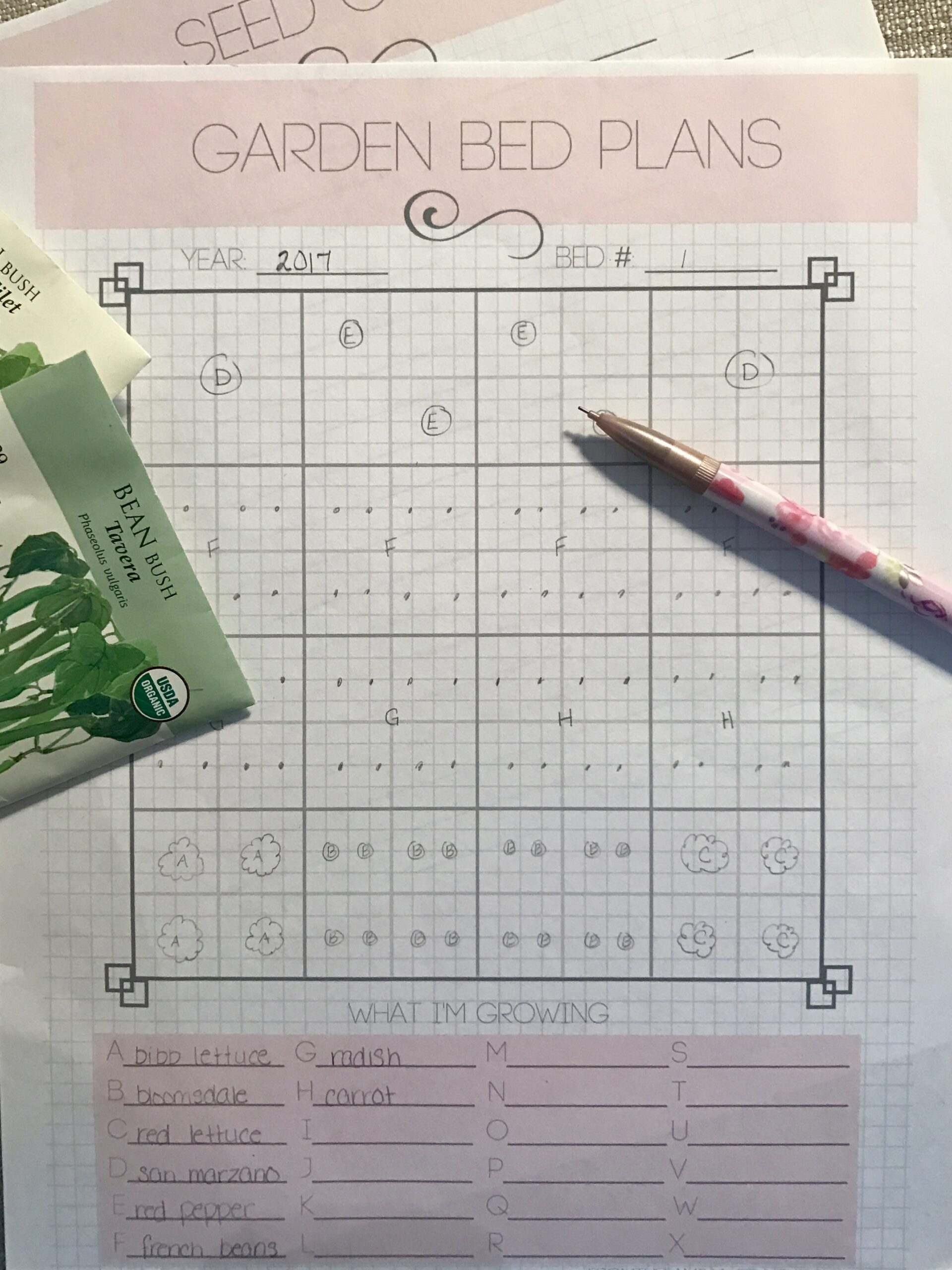 Garden Plant Worksheet Printable For Free
