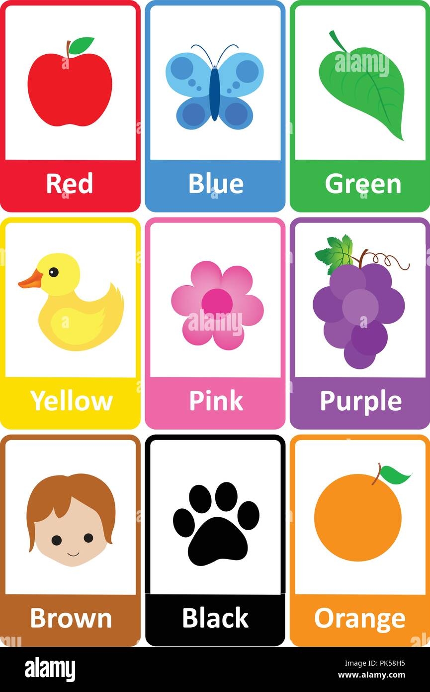 Printable Flash Card Colletion For Colors And Their Names With Colorful Pictures For Preschool Kindergarten Kids Let s Learn Colors Stock Vector Image U0026 Art Alamy Printable Flash Card Colletion For Colors And Their Names With Colorful Pictures For Preschool Kindergarten Kids Let s Learn Colors Stock Vector Image U0026 Art Alamy